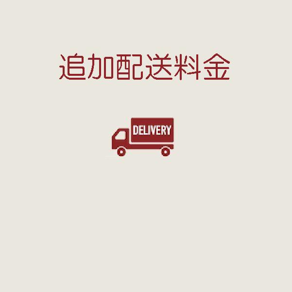 追加配送料金