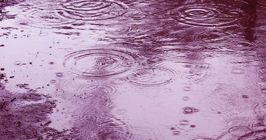 台風10号による配送への影響について