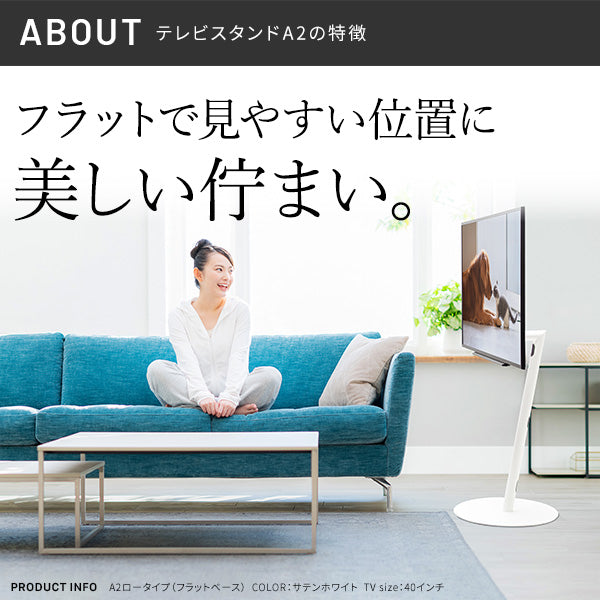 WALLインテリアテレビスタンドA2 ロータイプ+レコーダー棚板 2点セット 24～55v対応